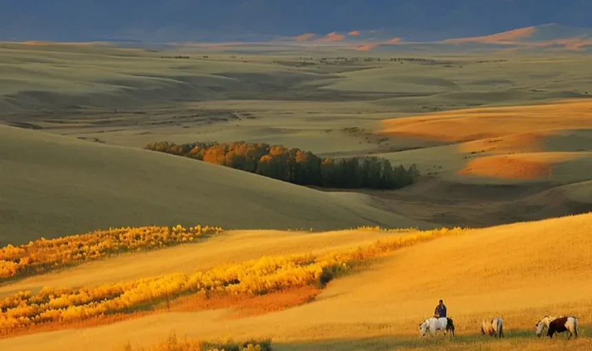 Why Now Is the Best Time to Visit Bali